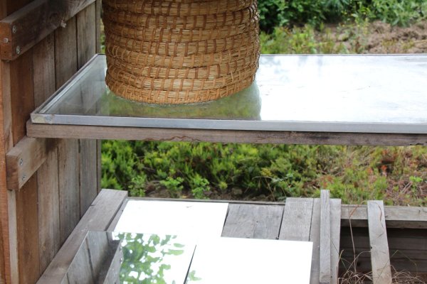 Exkursion Imkerei Selzer, 11.07.2015