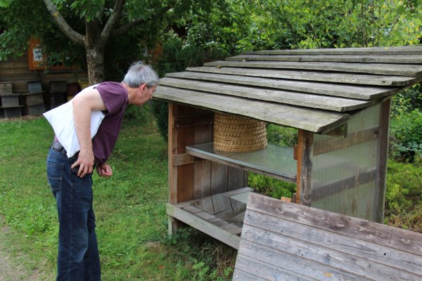 Exkursion Imkerei Selzer, 11.07.2015