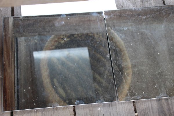 Excursion Imkerei Selzer, 