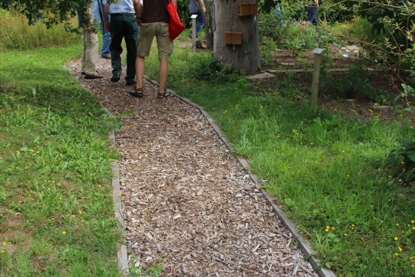 Exkursion Imkerei Selzer, 11.07.2015