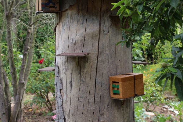 Exkursion Imkerei Selzer, 11.07.2015