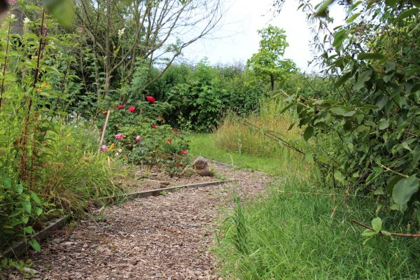 Exkursion Imkerei Selzer, 11.07.2015