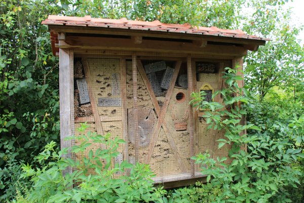 Excursion Imkerei Selzer, 