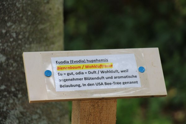 Exkursion Imkerei Selzer, 11.07.2015