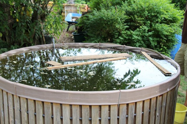 Exkursion Imkerei Selzer, 11.07.2015