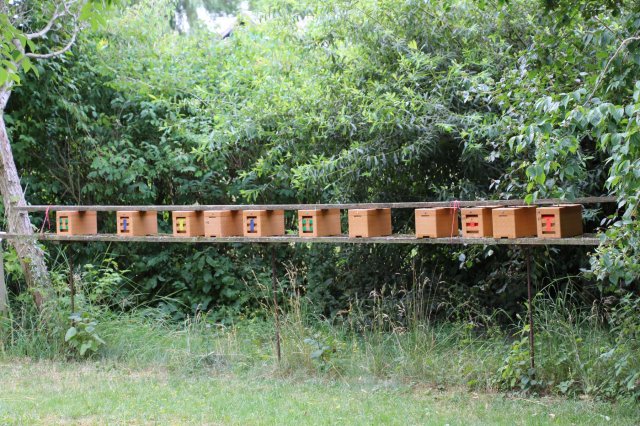 Excursion Imkerei Selzer, 