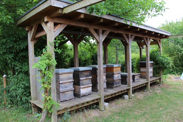 Exkursion Imkerei Selzer, 11.07.2015