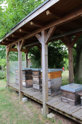 Exkursion Imkerei Selzer, 11.07.2015