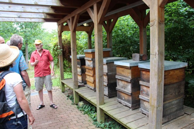 Exkursion Imkerei Selzer, 11.07.2015