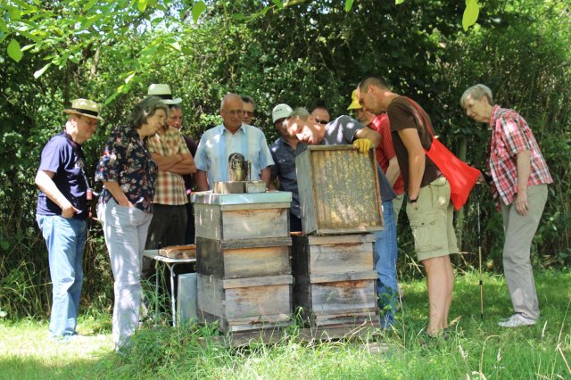 Exkursion Imkerei Selzer, 11.07.2015