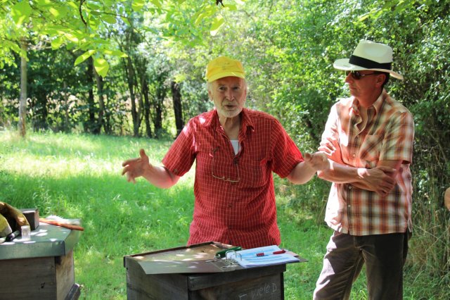 Exkursion Imkerei Selzer, 11.07.2015