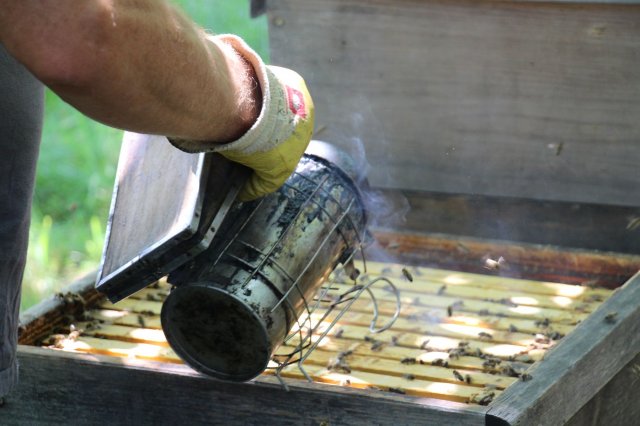 Excursion Imkerei Selzer, 