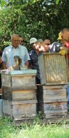 Excursion Imkerei Selzer, 