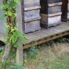 Exkursion Imkerei Selzer, 11.07.2015